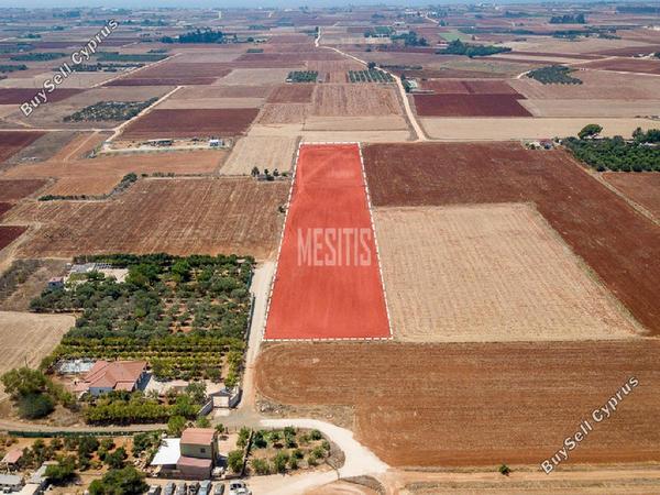 land for sale avgorou famagusta 8772412 image 16599207