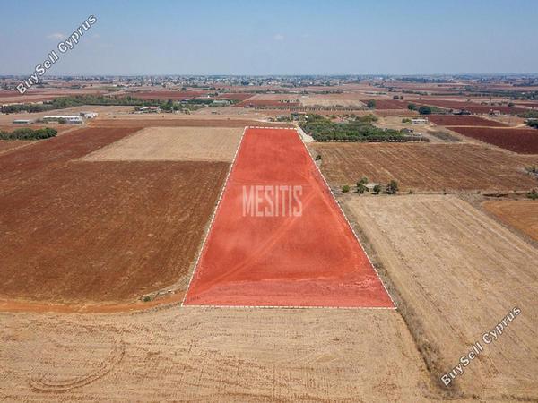land for sale avgorou famagusta 8772412 image 16599209