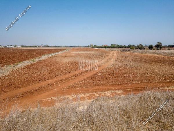 land for sale avgorou famagusta 8772412 image 16599210