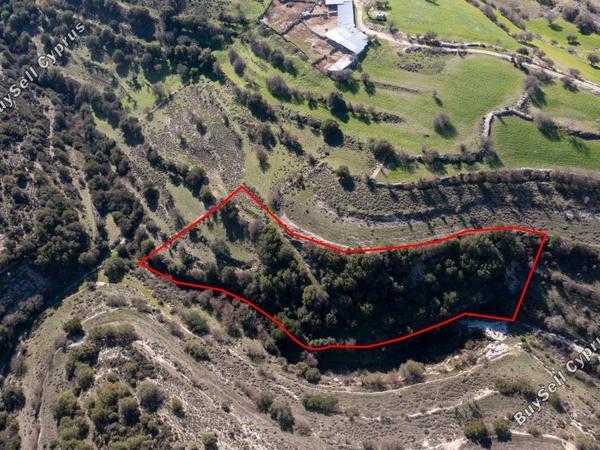land for sale dora limassol 839412 image 5480990
