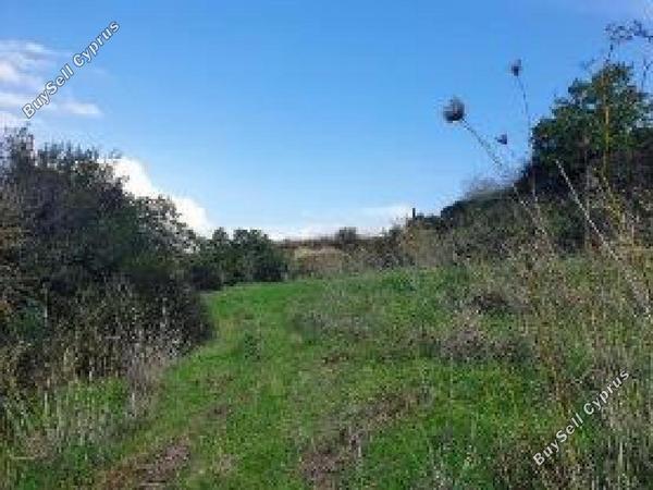land for sale kallepeia paphos 1410412 image 16701058