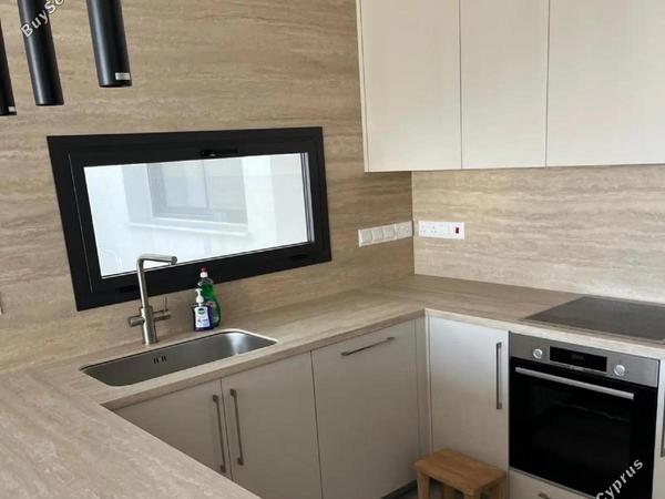 1 bedroom apartment for rent asomatos lemesou limassol 8681512 image 16455156