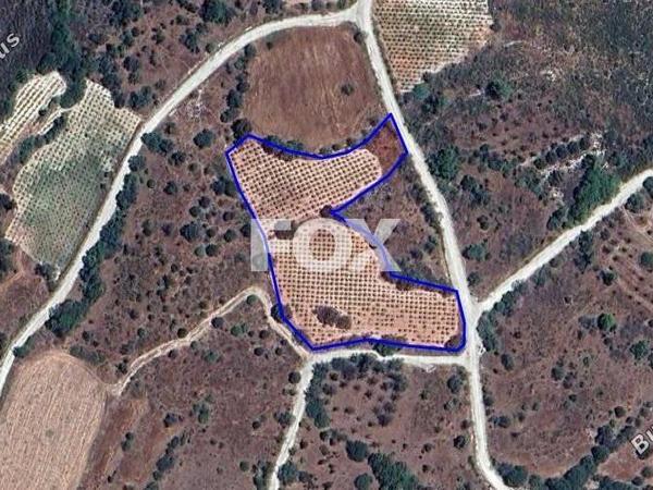 land for sale arminou paphos 1270512 image 5575624
