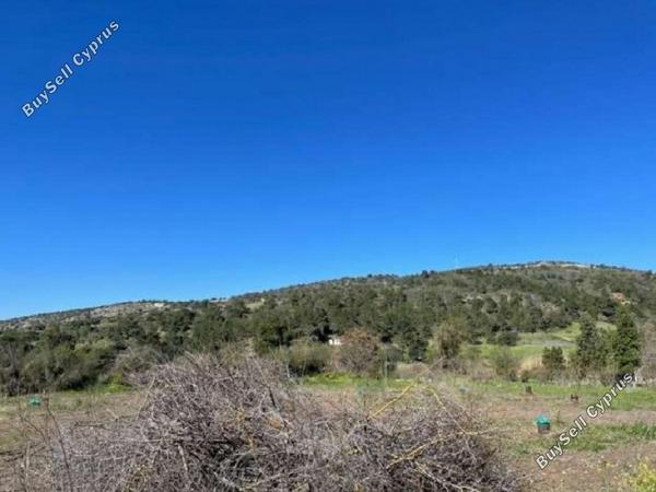 land for sale peristerona pafou paphos 8408512 image 16306712