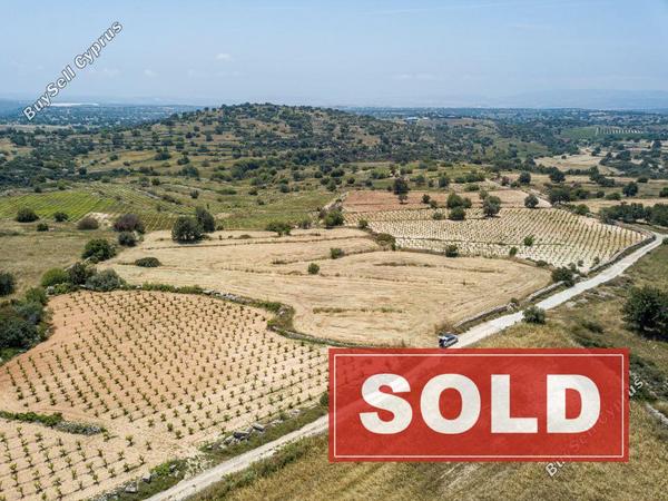 land sold pachna limassol 8633512 image 16062279