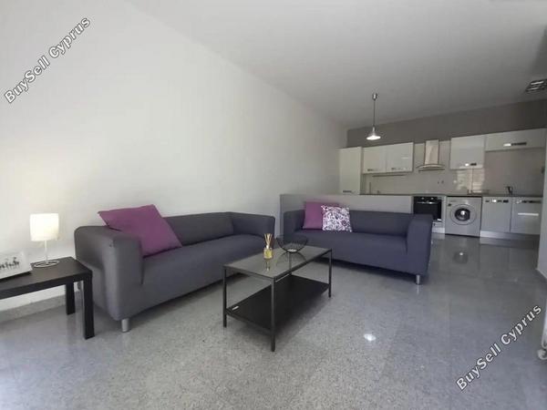 1 bedroom apartment for rent potamos germasogeias limassol 8532612 image 16454393