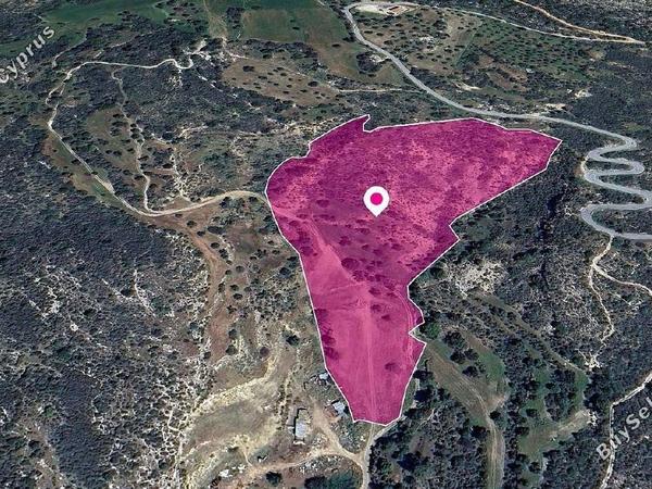 land for sale agios isidoros paphos 8237612 image 14231381