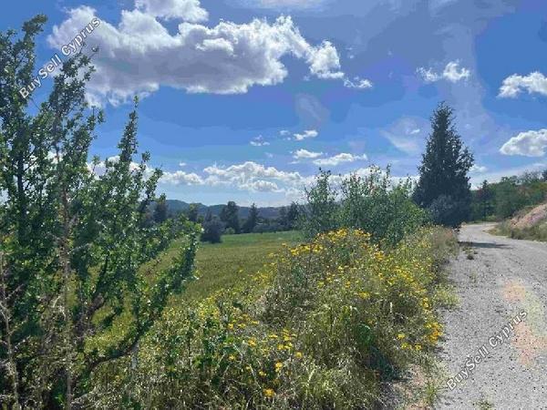 land for sale lympia nicosia 8244612 image 15596201