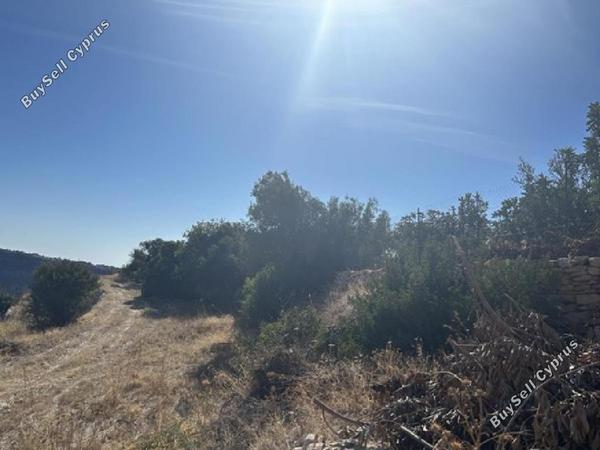 land for sale pachna limassol 944612 image 17102830