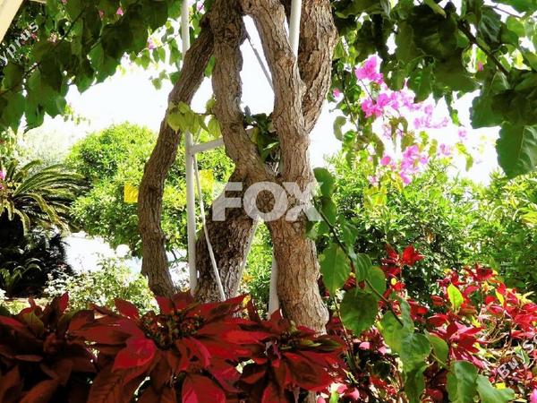 studio office for rent mesa gitonia limassol 1284612 image 16294209