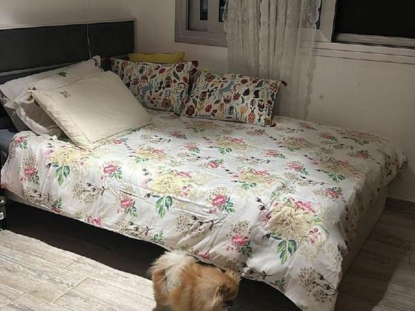 2 bedroom apartment for rent neapolis limassol 1683712 image 4396766