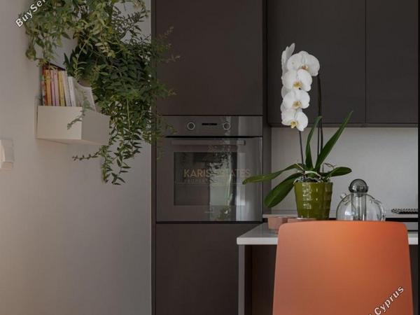 2 bedroom apartment for sale agios andreas nicosia nicosia 8785712 image 16656894