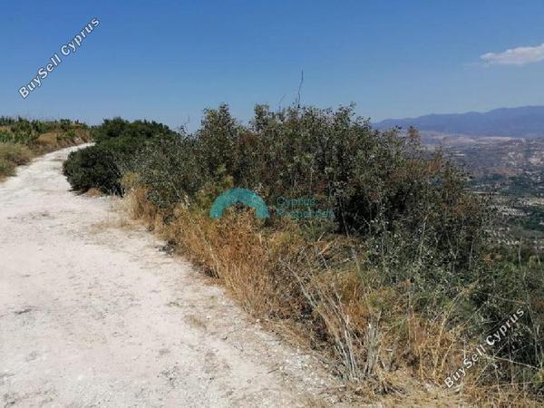 land for sale theletra paphos 1938712 image 16013650