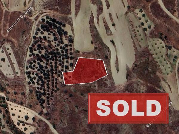 land sold pera orinis nicosia 1174712 image 9338130