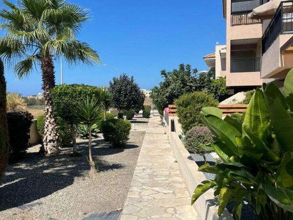 2 bedroom apartment for rent tombs of the kings paphos 8716812 image 16306954