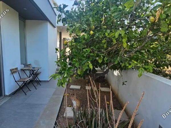 5 bedroom detached house for sale konia paphos 7697812 image 9993315