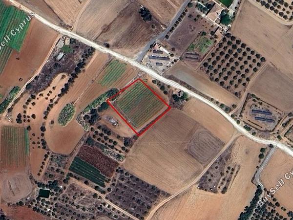 land for sale palaiometocho nicosia 7912812 image 11161669