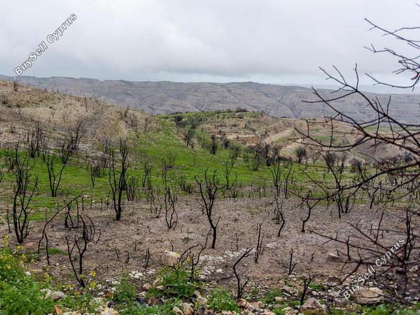 land for sale koilani limassol 8433912 image 15595002