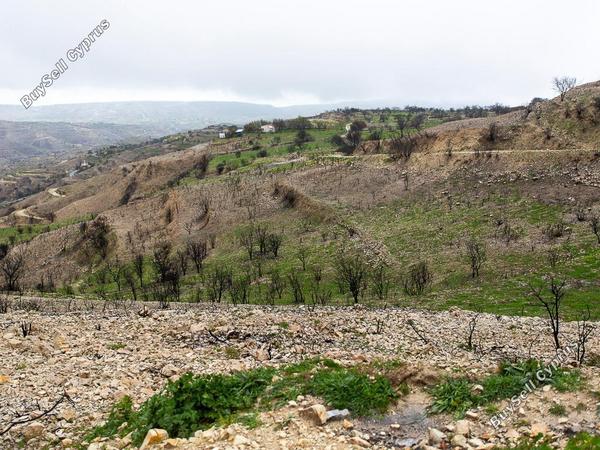 land for sale koilani limassol 8433912 image 15595003