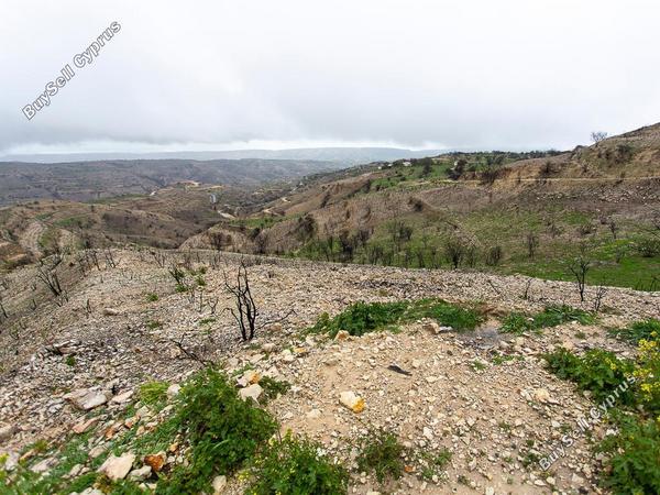 land for sale koilani limassol 8433912 image 15595005