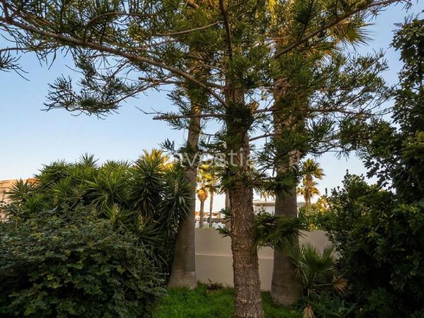 3 bedroom detached house for sale dekeleia larnaca 8123022 image 16656918