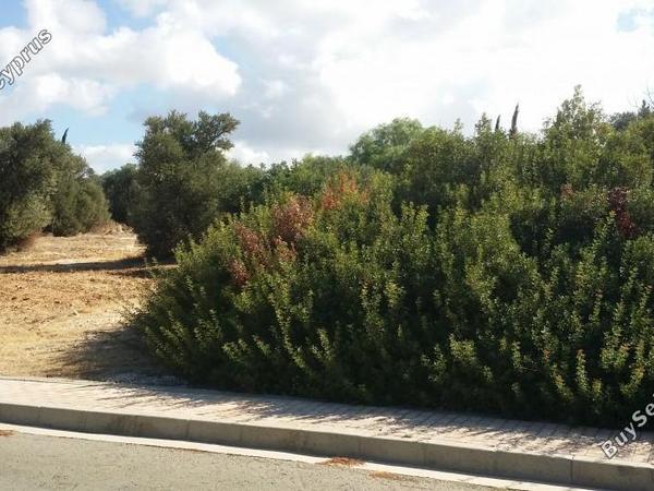 4 bedroom detached house for sale secret valley paphos 7740022 image 14610769