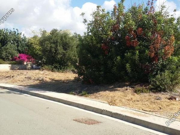 4 bedroom detached house for sale secret valley paphos 7740022 image 14610770