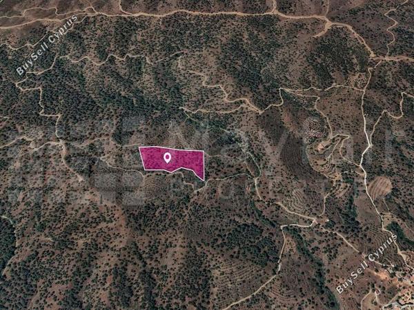 land for sale agios theodoros soleas nicosia 7872022 image 11383874
