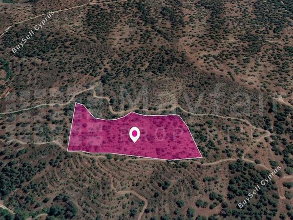land for sale agios theodoros soleas nicosia 7872022 image 11383876