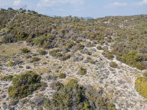 land for sale ora larnaca 1029022 image 15603265