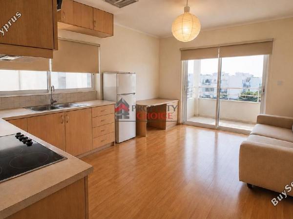 1 bedroom apartment for rent egkomi nicosia 8804122 image 16812930