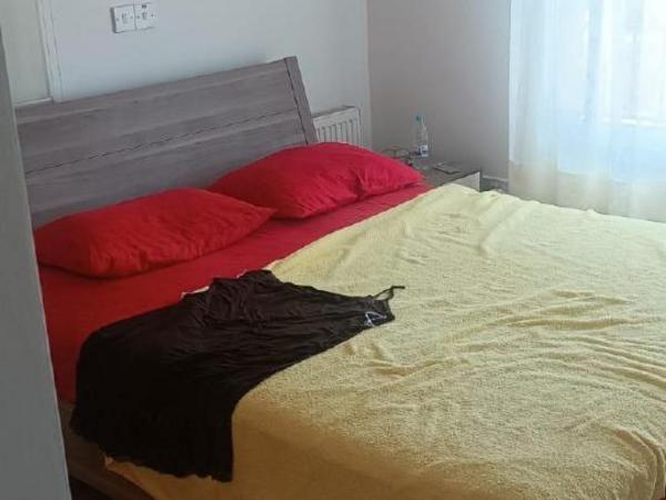 3 bedroom detached house for rent tala paphos 8864122 image 17181574
