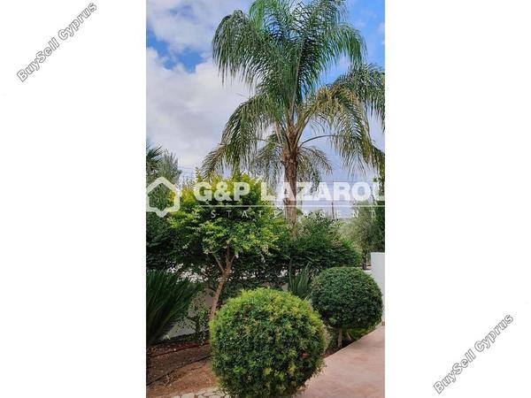 5 bedroom detached house for rent agios dometios nicosia 8602122 image 15754663
