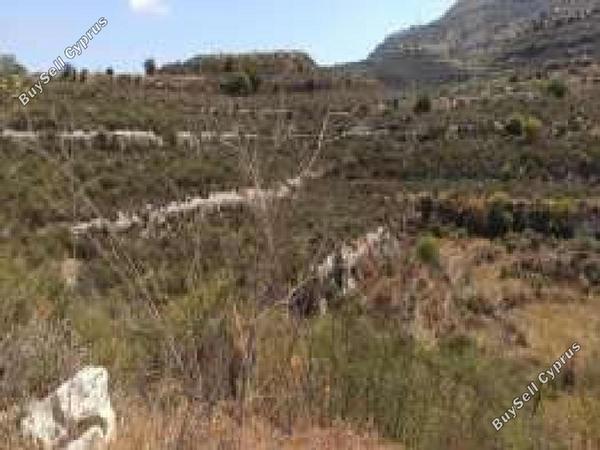 land for sale dora limassol 8716122 image 16294223
