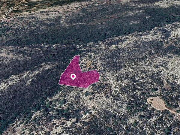 land for sale anogyra limassol 1650222 image 5666916