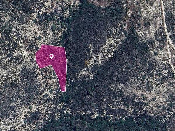 land for sale anogyra limassol 1650222 image 5666919