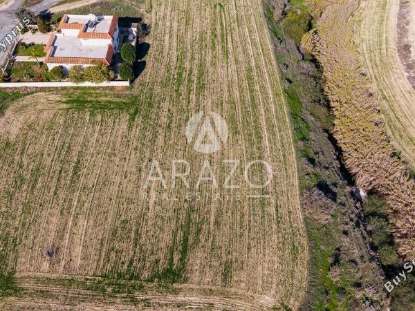 land for sale aradippou larnaca 8056222 image 12956879