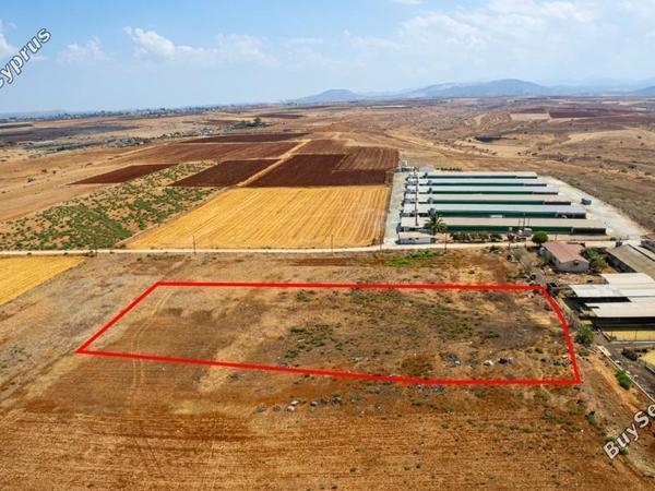 land for sale peristerona lefkosias nicosia 845222 image 3742212