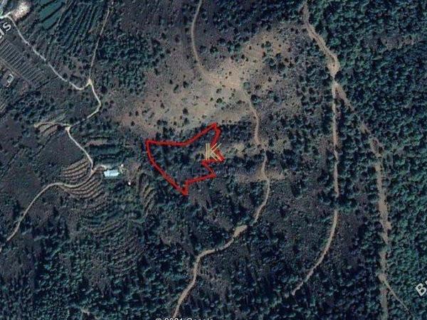 plot for sale tsakistra nicosia 1195222 image 5576513