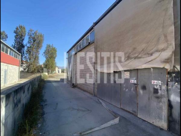 studio warehouse for sale kaimakli nicosia 977222 image 10555378