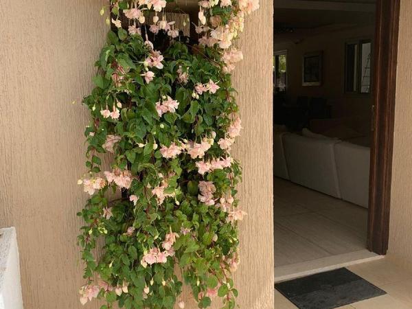4 bedroom detached house for rent agios athanasios limassol 8785322 image 16649019