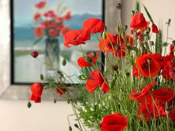 4 bedroom detached house for rent agios athanasios limassol 8785322 image 16649078