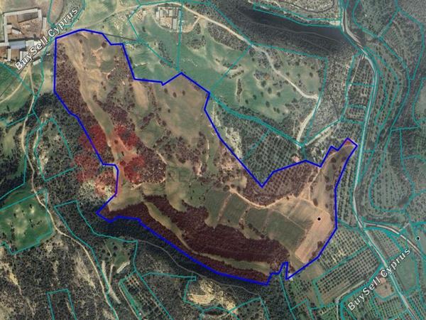 land for sale agios theodoros larnacas larnaca 1818322 image 15439118