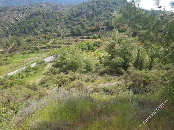 land for sale kato platres limassol 1240322 image 1941189