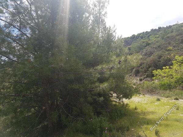 land for sale kato platres limassol 1240322 image 1941190