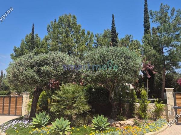 4 bedroom detached house for sale aphrodite hills paphos 8687522 image 16337510
