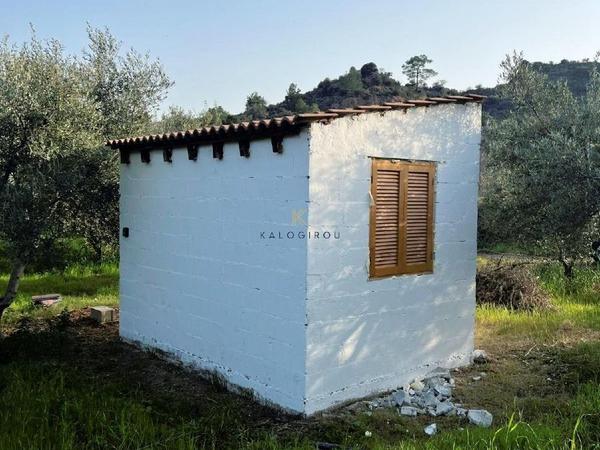 land for sale kalavasos larnaca 1511522 image 13067836