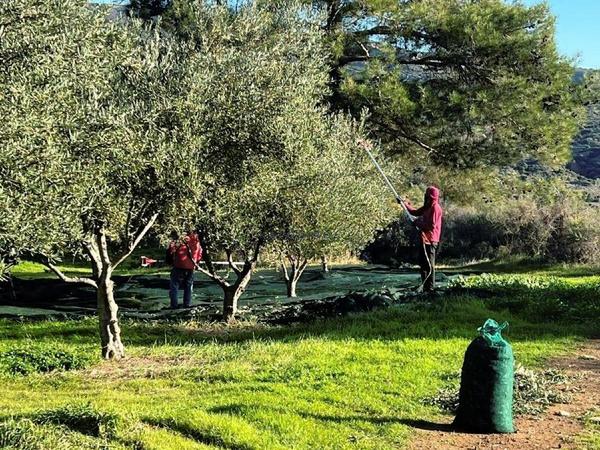 land for sale kalavasos larnaca 1511522 image 13067839