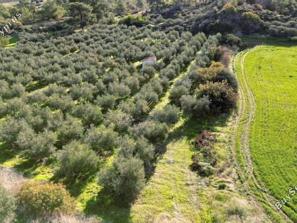land for sale kalavasos larnaca 1511522 image 13067858