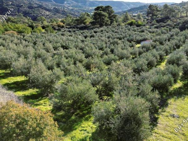 land for sale kalavasos larnaca 1511522 image 13067861